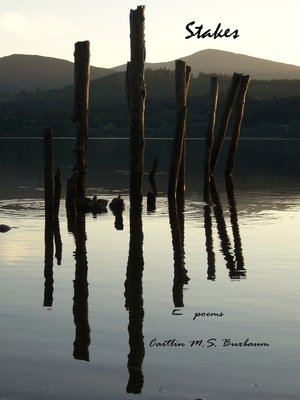 cover image of Stakes